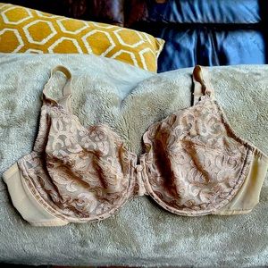 Wacoal lace bra 38D